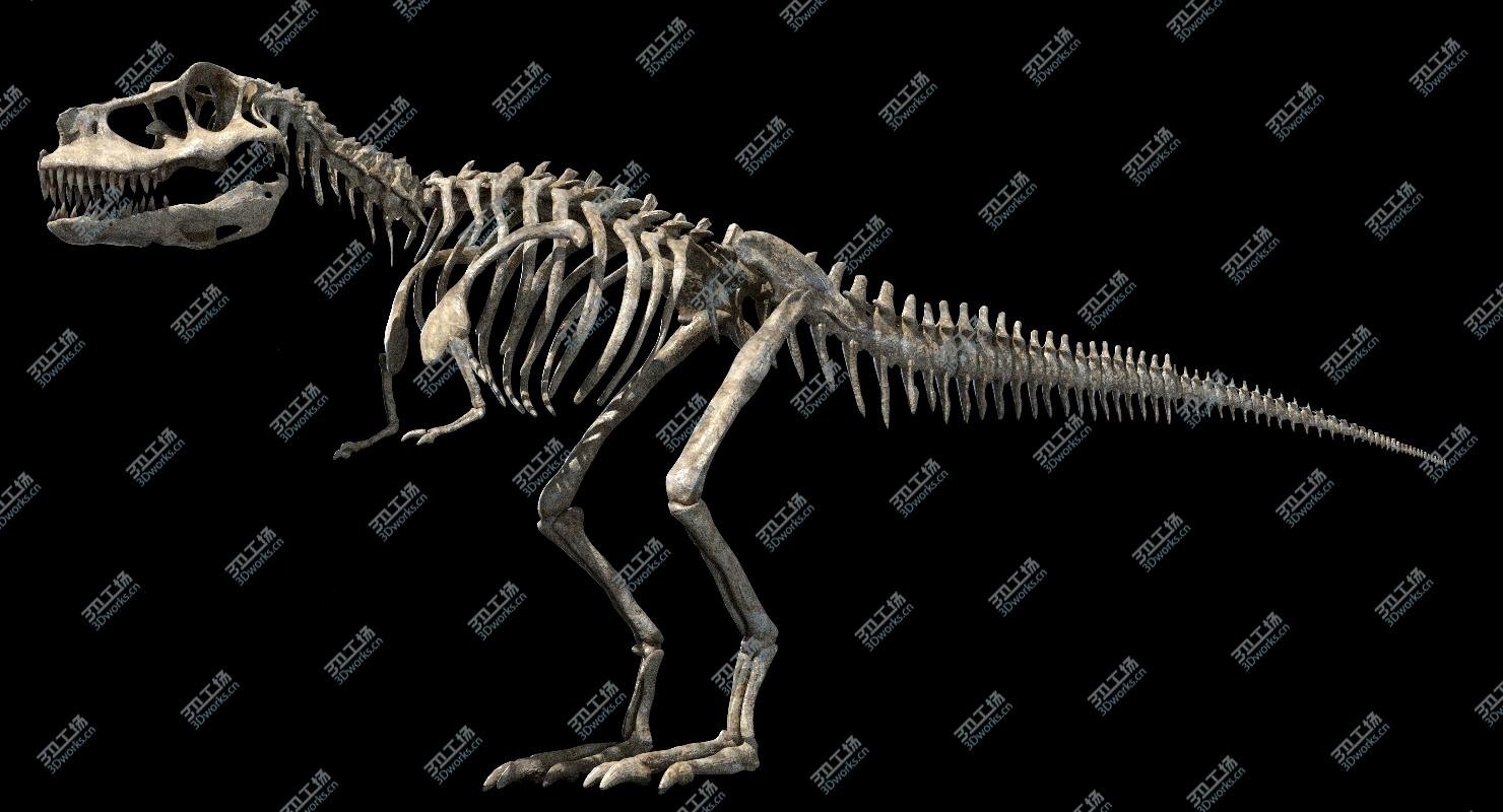 images/goods_img/202104094/3D Tyrannosaurus Rex Anatomy/4.jpg